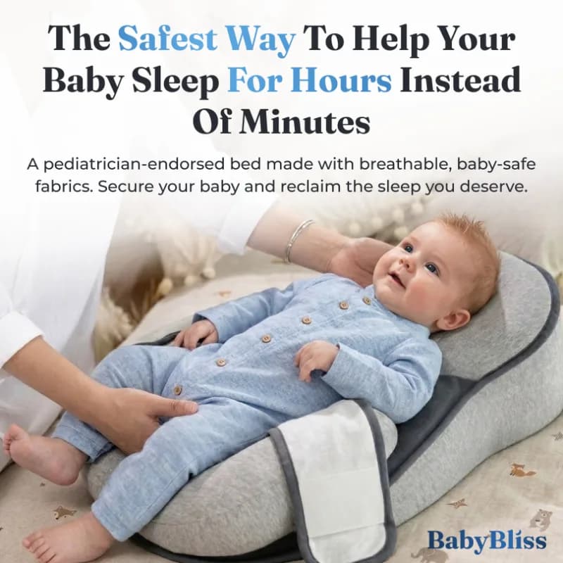 BabyBliss DreamNest sleep nest